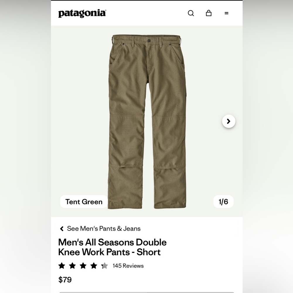 Patagonia Men's All-Season Double Knee Work Pants Green